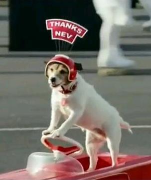 nevilwharton's profile picture. 