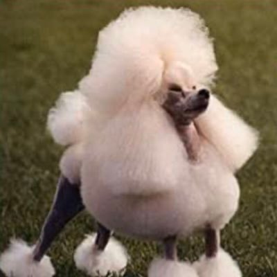 toniusward's profile picture. a little beyond Pease Pottage on the A23 northbound