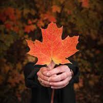 DianaX84104989's profile picture. Truth. The Swamp is Real. Mom. IT Professional