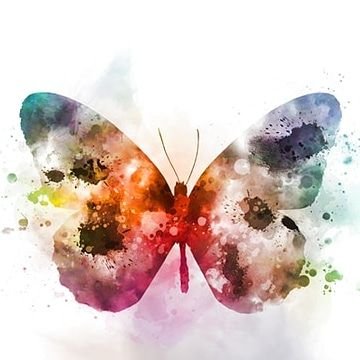 exploremode227's profile picture. 