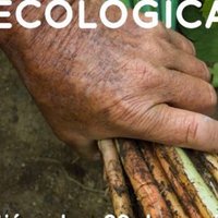 UNIVERSO NATURALEZA Y ECOLOGIA (@univerecologico) 's Twitter Profile