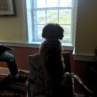 Nico (@_schnico_) 's Twitter Profile