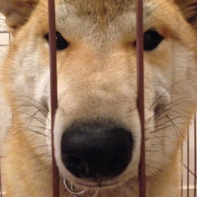 suppli_z's profile picture. 仕事より投資に魅力を感じるサラリーマン。あせらず無理せず資産運用。スイングと長期で運用し資金管理重視。株って楽しい。