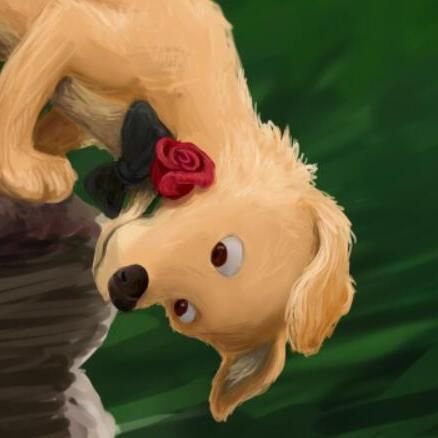 HuskyUnleashed's profile picture. Ready to unleash my inner husky