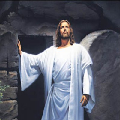 NBanana07's profile picture. 