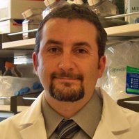 Ash Alizadeh, MD/PhD 🇺🇸 (@ashalizadeh) 's Twitter Profile Photo Ash Alizadeh, MD/PhD 🇺🇸 (@ashalizadeh) 's Twitter Profile Photo