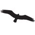 Osprey (@Osprey0) Twitter profile photo