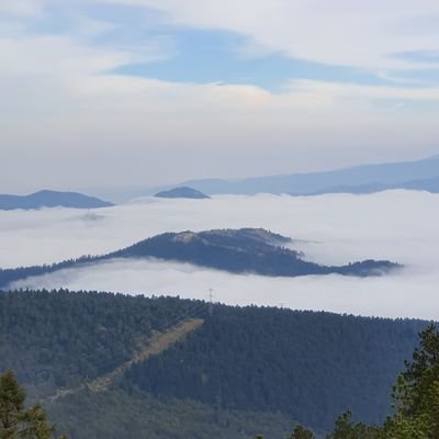 MauOM's profile picture. 