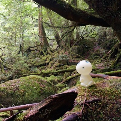 kiseno_hassaku's profile picture. マテリアルズインフォとか、DXとかに携わってるプロダクトマネジャー。素材開発と組織論、業務効率化に興味。 （共著）マテリアルズ・インフォマティクス 実践ハンドブック,森北出版 | ITストラテジスト,中小企業診断士,Kaggle Expert | Amazon アソシエイト参加