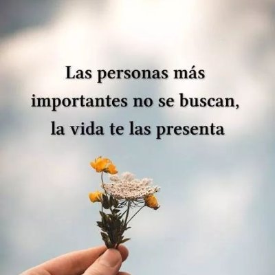 ❤🌈 Sigue SIEMPRE tu corazón. Banco fuerte a @PatoBullrich 🤜🤛🦆🇦🇷❤️ 🌟 #SeFueron 🇦🇷 Argentina por delante 🇦🇷❤️🌟❤️