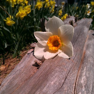 bwchristina's profile picture. Avid writer and reader.