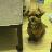 0129chie0129's profile image