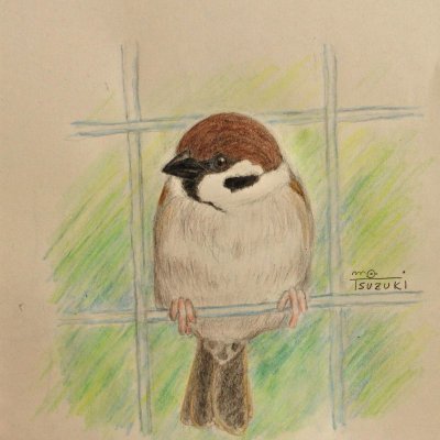 ビショウ 鳥絵修行中 Bisyou1332 Twitter ビショウ 鳥絵修行中 Bisyou1332 Twitter