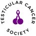 Testicular Cancer Society (@TCSociety) Twitter profile photo