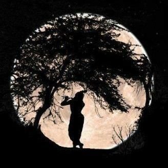 rkget79's profile picture. A citizen and proud Indian.