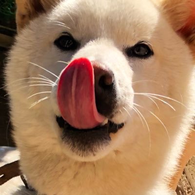c_tacaa's profile picture. フィットネス＊西洋史＊天然芝のボールパーク＊柴犬＊高層ビル群＊路線図＊カメラ＊古事記＊登山＊日本語の起源＊宇宙の始まり、そしてグレートギャツビーが大好きです