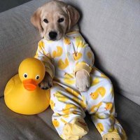 Nur (@gizem77925483) Twitter profile photo