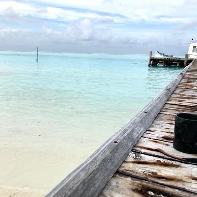 CDCMaldives's profile picture. Career Development Center Maldives