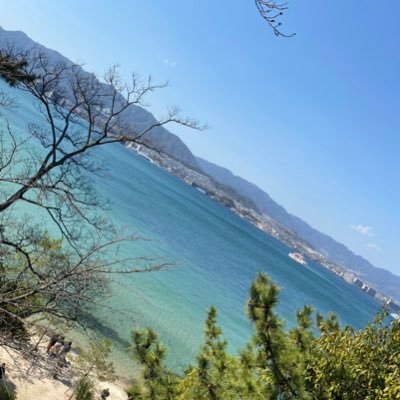 M1ZC2aluxxuB31g's profile picture. 神戸大学経営学部一回生　英語14 中国語8