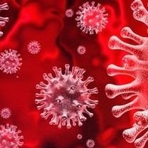 VirusUpdates24's profile picture. 