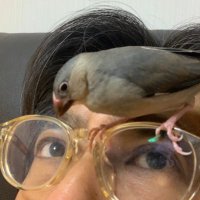 本吉康成 編集者 (@mtys0917) Twitter profile photo