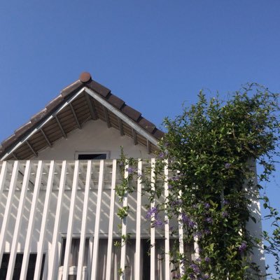 inhTnCng1's profile picture. Chess 9