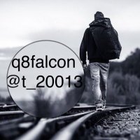 q8 falcon (@t_20013) 's Twitter Profile Photo