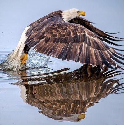 Sanma şahım herkesi sen sadıkane yar olur. Herkesi sen dost mu sandın belki ol ağyar olur.