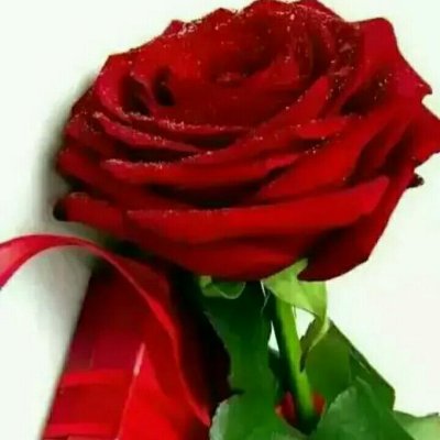 Veenami121's profile picture. 