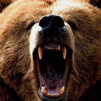 Butch Rebelson (@brucekperry1) 's Twitter Profile
