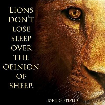 I'm an old soul, i except people for who they are, and love unconditionally. I love my Country, my President and fellow Patriots!