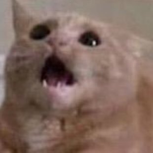 Dootnoot5's profile picture. I don’t know what I’m doing here