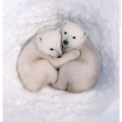 K_K0711_16's profile picture. tnj75
英語が壊滅的にできない
大教大