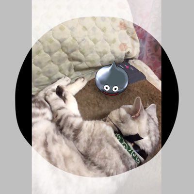 SxZx_Jun Profile Picture