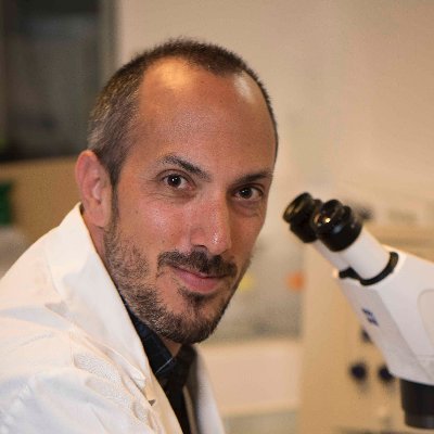 Associate Professor at Museum National d'Histoire Naturelle. @mnhn. @umr7221.
Developmental biologist. Zebrafish fan.