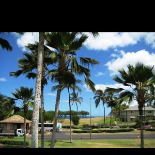 1969P911S's profile picture. 