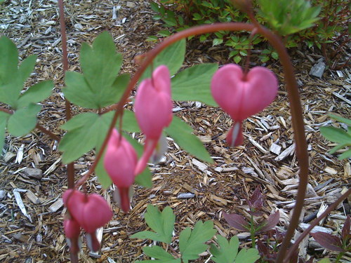 kcmoore70's profile picture. 