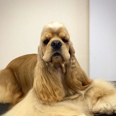 HeinzWilhelmGu6's profile picture. Наблюдаю за новостями