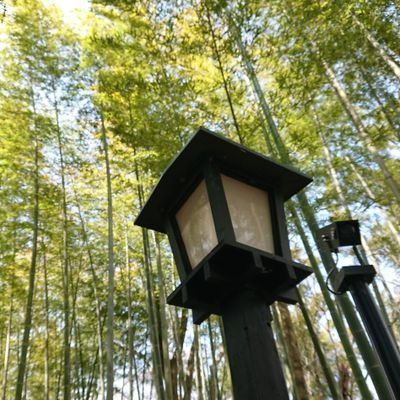 ab_racingengine's profile picture. 芝浦工業大学 機械機能工学科在籍
このコロナの時期のみ稼働させます