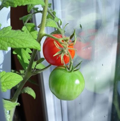 Danbo57refugee's profile picture. based in #schaffhausen/switz.📍🇨🇭
#naturelover #naturephotography📱🌍
enjoy every moments of your life like the last one!
Insta: the_earth_is_my_paradise_575