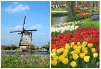 주 네덜란드 대한민국 대사관
Embassy of the Republic of Korea in the Netherlands
T. +31 (0)70 358 60 76
F. +31 (0)70 350 47 12
