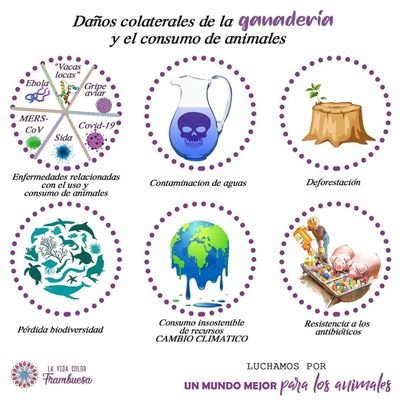 #Animalistas que se unen para hacer fuerza, intercambiar #información o #proyectos.

Si #Grita..
Si #Sangra..
Si #Huye.. No es #comida,
#AnimalistasUnidos