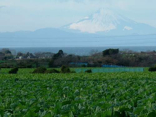 まちを歩く日々。日頃は谷中界隈〜東京東部、時に、川辺や海辺、畑の際も歩きます。まちとものづくり、建物活用、地域の人や食との出会いなど。