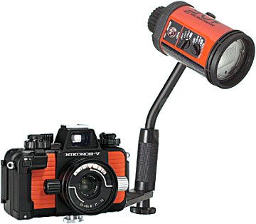 underwatercams's profile picture. 