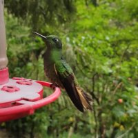 Marci (@gluenggi1) Twitter profile photo