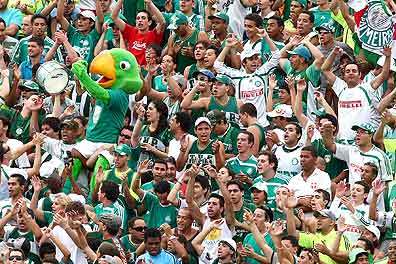 NogueiraR's profile picture. Sempre um lutador: desistir é o mesmo que morrer