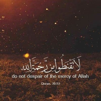 Kashif79924564's profile picture. 