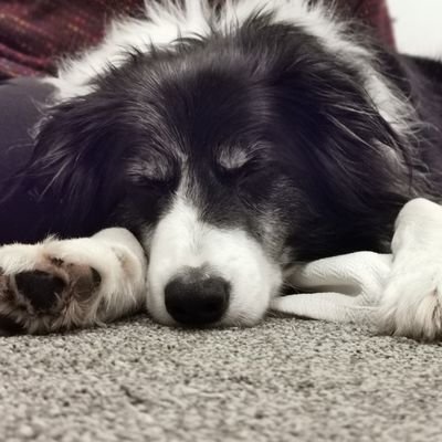 KatyElla4's profile picture. 