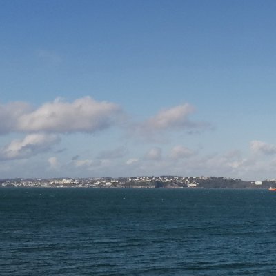 TheTorbayWeekly Profile