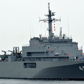 まだかなり日の浅い蟹ペン属？（蟹ペン族？）